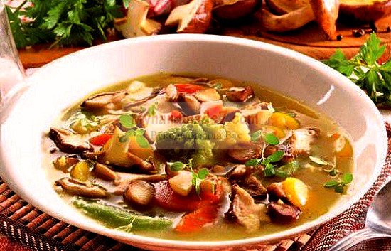 Грибной суп из грибов: лучшие рецепты с фото
