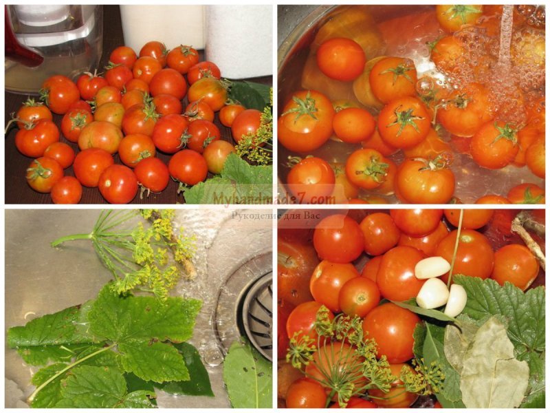 Консервация помидор: советы и рекомендации для хозяек
