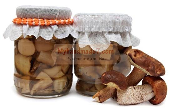 Маринованные белые грибы на зиму: золотые рецепты с фото