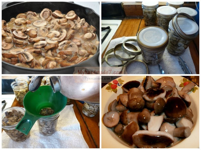 Маринование грибов на зиму: ТОП-10 рецептов с фото