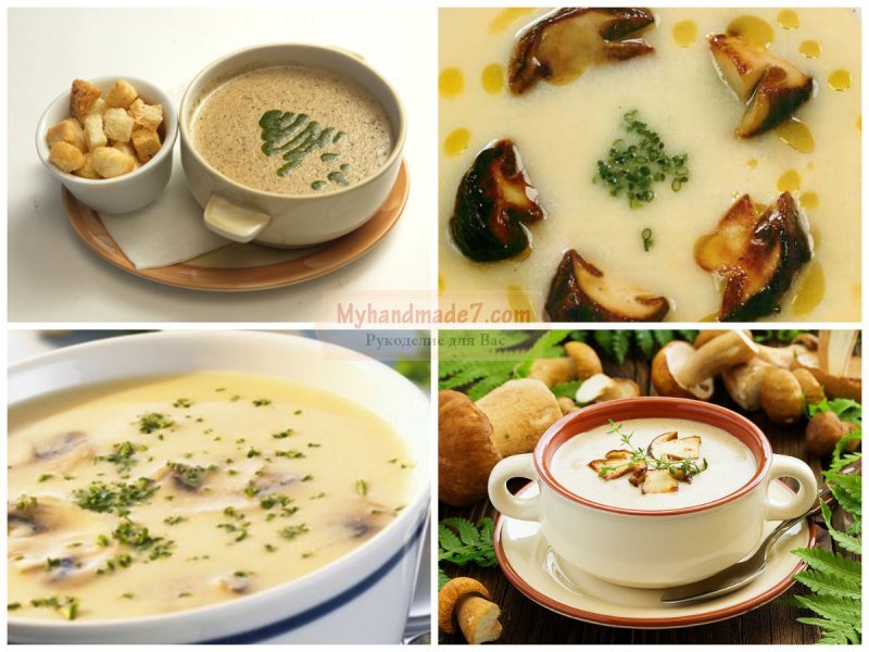 Суп из белых грибов: пошаговые рецепты с фото