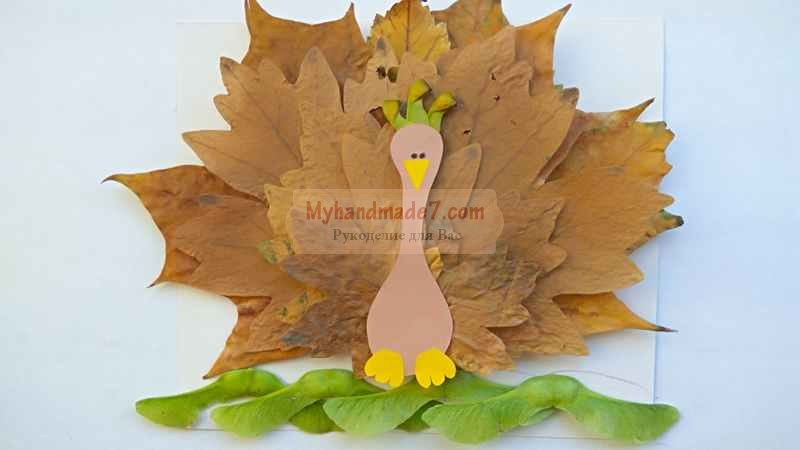 Аппликация «Павлин» из листьев и бумаги. Осенние поделки для детей. Пошаговый мастер-класс с фото