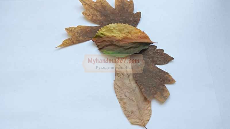 Аппликация из осенних листьев петух