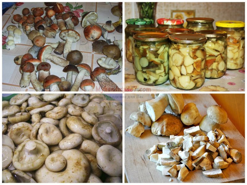 грибы маринованные на зиму: лучшие рецепты с фото