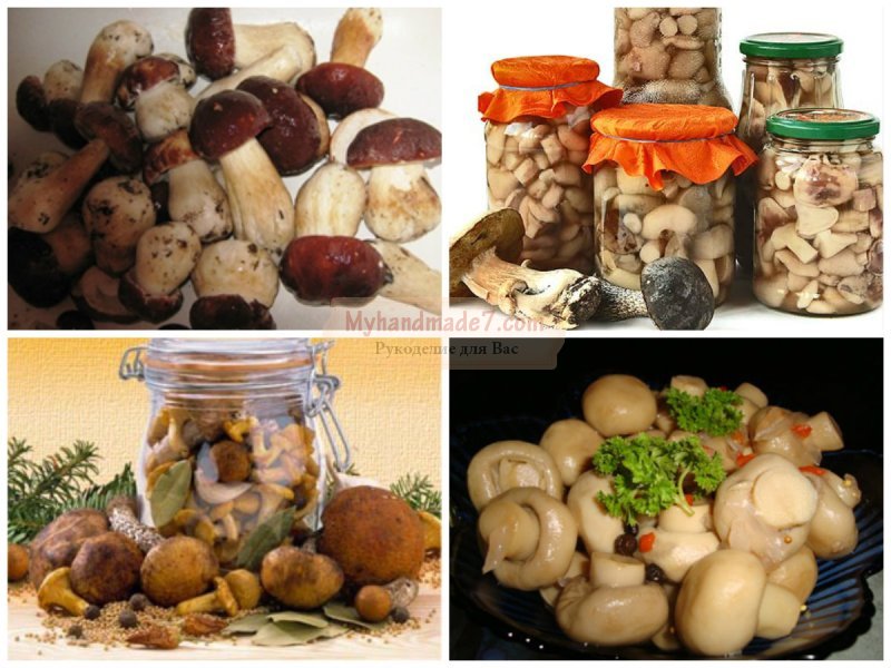Как маринованные грибы: пошаговые рецепты с фото