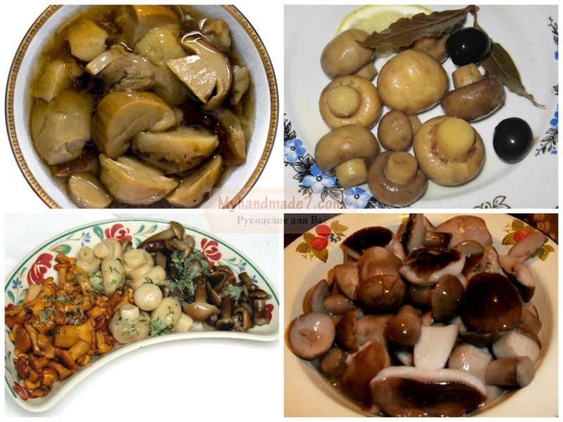 Как маринованные грибы: пошаговые рецепты с фото