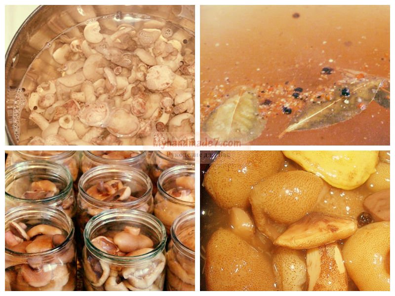 Маринованные грибы маслята: популярные рецепты с фото