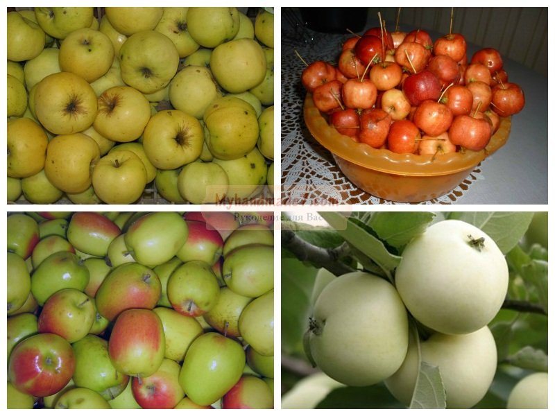 Маринованные яблоки на зиму: популярные рецепты с фото