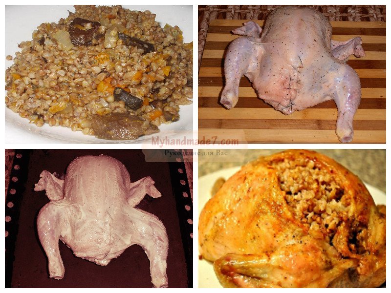 Курица с грибами в духовке: пошаговые рецепты с фото