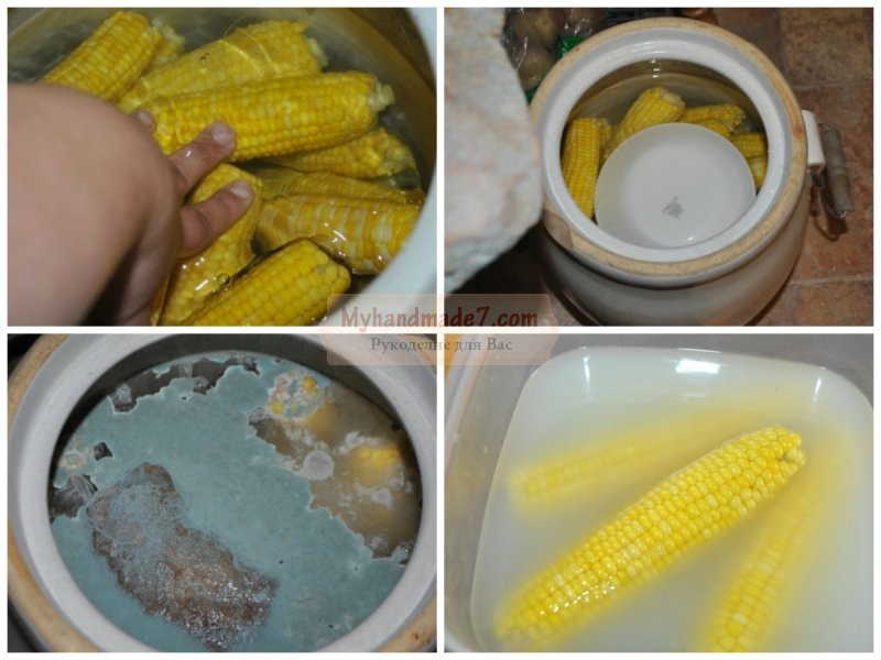 Консервированная кукуруза в домашних условиях. Как заготовить