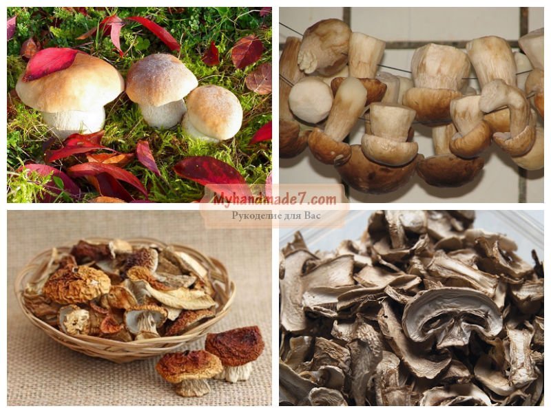 Сушеные грибы: как готовить? Пошаговые рецепты с фото
