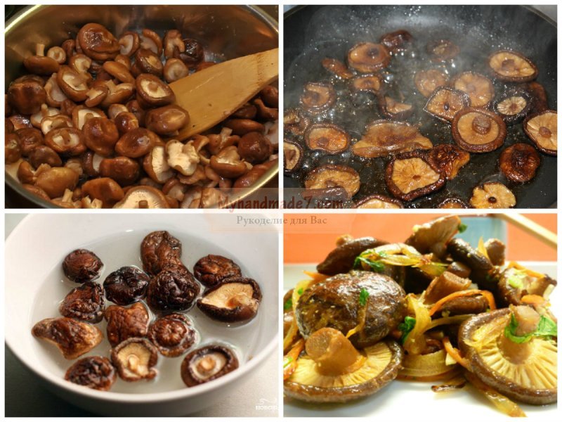 Сушеные грибы: как готовить? Пошаговые рецепты с фото