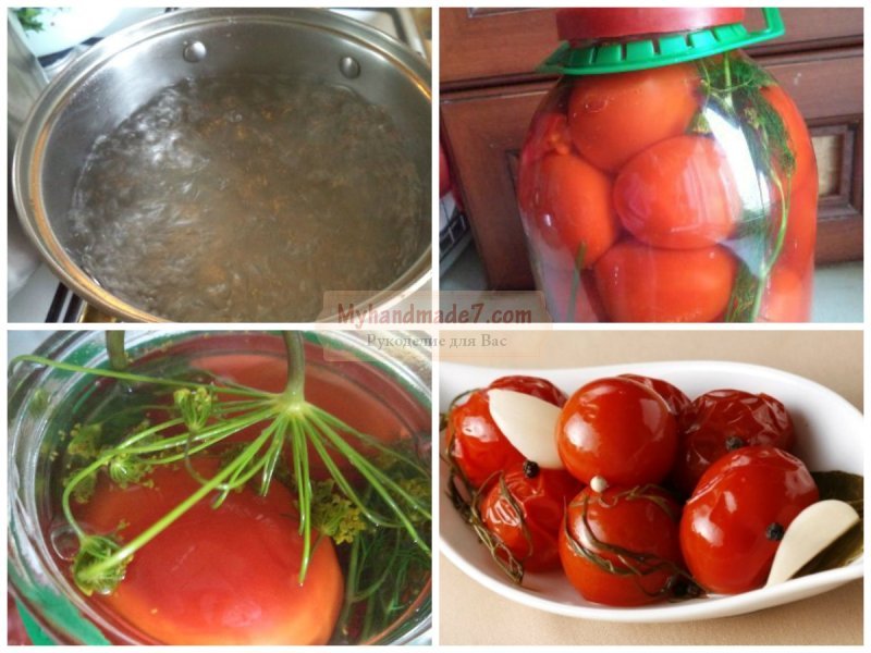 Соление помидоров в банках на зиму: золотые рецепты с фото