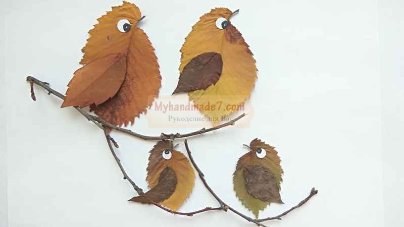 Аппликация из осенних листьев «Птички на ветке». Пошаговый мастер-класс с фото