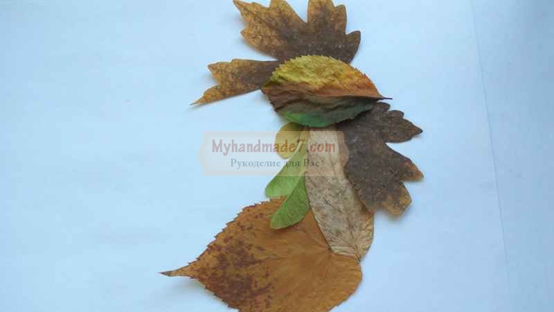 Аппликация из осенних листьев петух