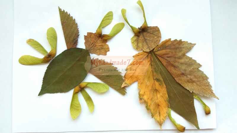Природные поделки для детей на тему "Осень". Аппликация из осенних листьев «Жуки»