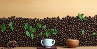 Создание панно из кофейных зёрен: искусство текстуры, запаха и цвета