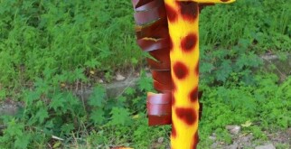 Поделки из шин для сада: лучшие идеи