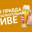 Вся правда о безалкогольном пиве. Каковы его свойства?