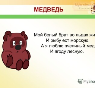 Загадки для детей 4 лет с ответами. Для девочек и мальчиков. 50 лучших