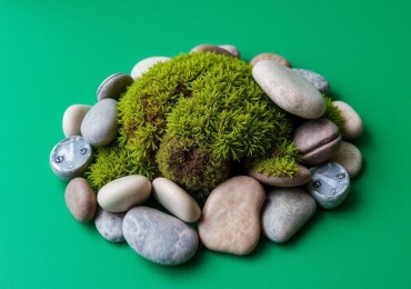 Живая скульптура: как создавать композиции из мха и камней, которые дышат