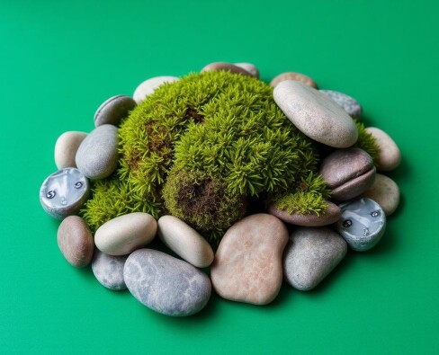 Живая скульптура: как создавать композиции из мха и камней, которые дышат