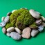 Живая скульптура: как создавать композиции из мха и камней, которые дышат