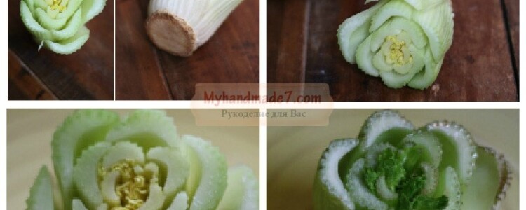 Как вырастить сельдерей дома? Пошаговый мастер-класс