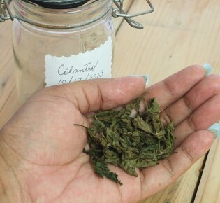 Домашнее мыло своими руками