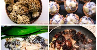 Жареные грибы в сметане: лучшие рецепты с фото