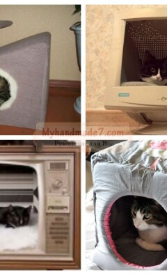 Домик для кошки своими руками: лучшие идеи и мастер-классы с фото