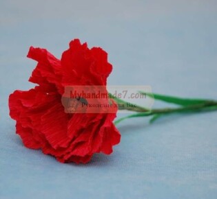 Гвоздика своими руками. Как сделать из креповой бумаги?