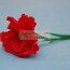 Гвоздика своими руками. Как сделать из креповой бумаги?