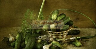 Засолка огурцов на зиму: ТОП-10 рецептов с фото