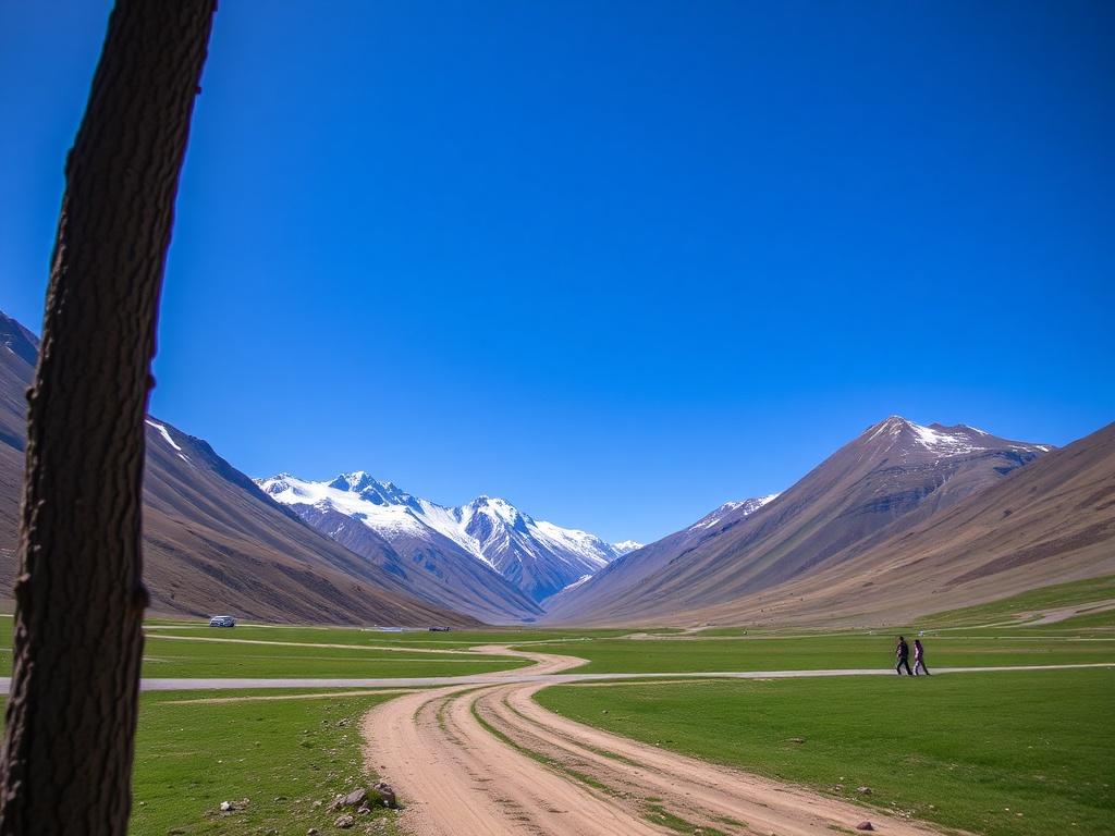 Les bases du patronnage : adapter un patron à ses mesures.. Erreurs fréquentes et comment les éviter Les bases du patronnage : adapter un patron à ses mesures.. Erreurs fréquentes et comment les éviter