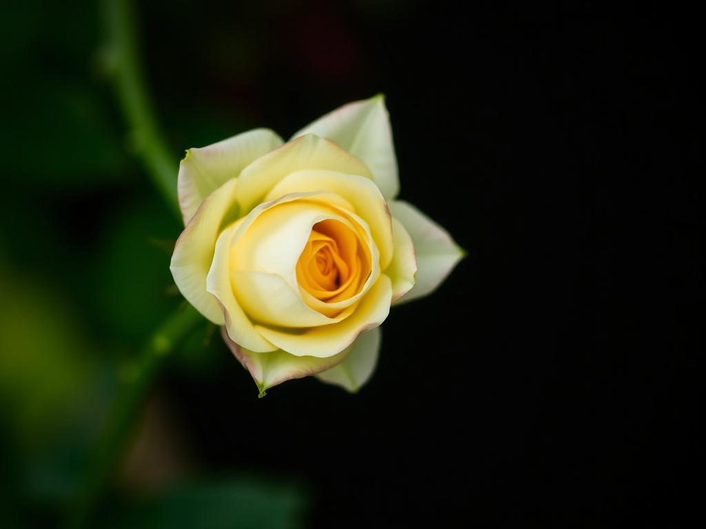 Organiser son espace créatif dans un petit appartement : nos astuces.. Mobilier multifonctionnel: investir intelligemment Organiser son espace créatif dans un petit appartement : nos astuces.. Mobilier multifonctionnel: investir intelligemment